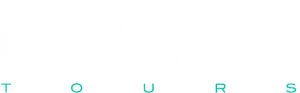 logo with green v3
